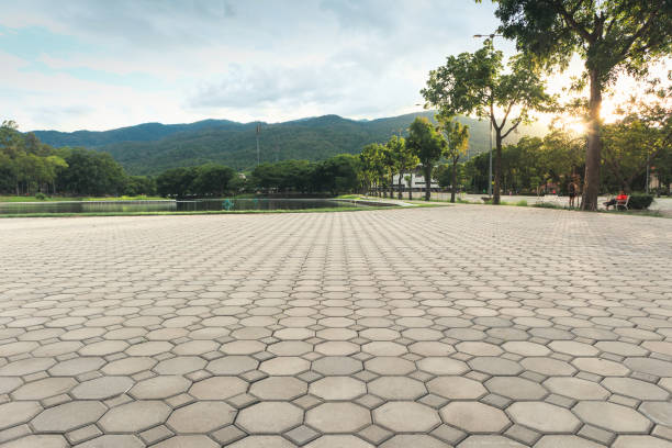 Best Decorative Driveway Pavers  in Washington, IL